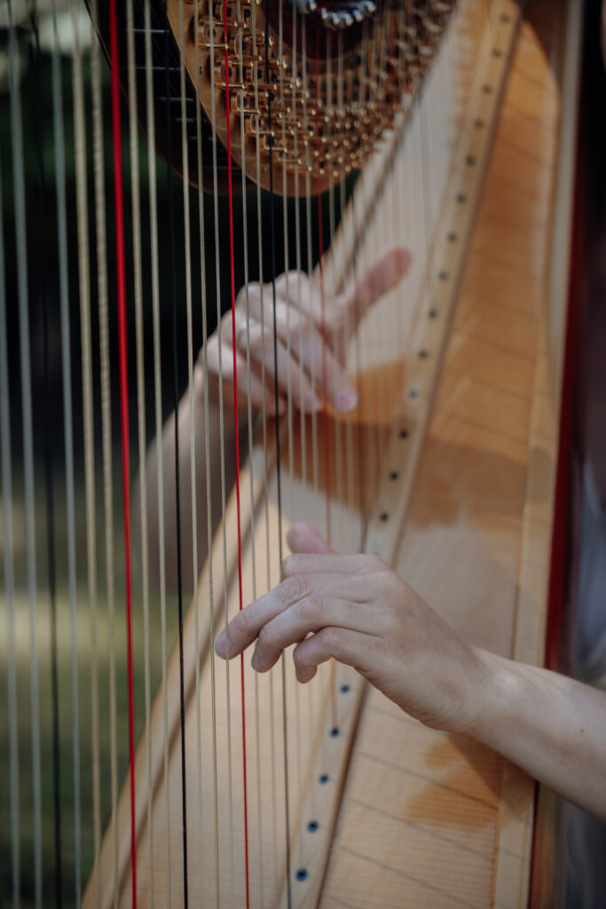 Detailfoto Trauung Hochzeit Niederösterreich